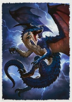 Dragon Shield Art Cards Sleeves Display Box - Draxis