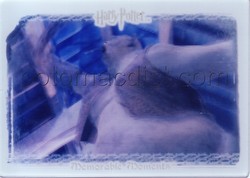 Harry Potter Memorable Moments Quotable Lenticular Troll Case Topper Card