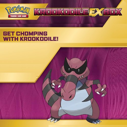 Pokemon TCG: Krookodile-EX Box
