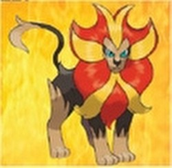 Pokemon TCG: Pyroar Case [12 boxes]